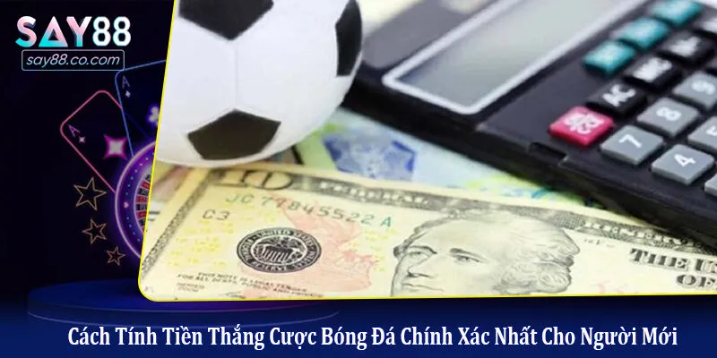 Cách Tính Tiền Thắng Cược Bóng Đá Chính Xác Nhất Cho Người Mới cách tính tiền thắng cược bóng đá